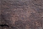 Irish Canyon Petroglyphs