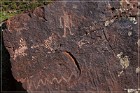 Irish Canyon Petroglyphs