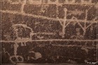 Ismay Petroglyphs