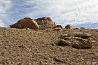 Ismay Petroglyphs