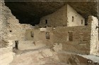 Spruce Tree House