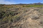 Yucca House NM