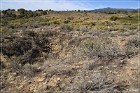 Yucca House NM