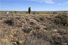 Yucca House NM