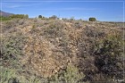 Yucca House NM