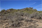 Yucca House NM
