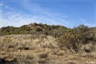 Yucca House NM