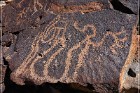 White River Narrows Petroglyphs