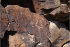 White River Narrows Petroglyphs - Cane Site