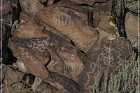 White River Narrows Petroglyphs - Cane Site
