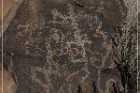 White River Narrows Petroglyphs - Cane Site