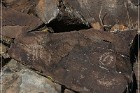 White River Narrows Petroglyphs - Cane Site