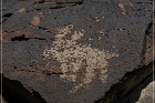 White River Narrows Petroglyphs - Cane Site