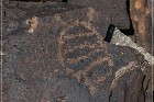 White River Narrows Petroglyphs - Cane Site