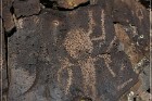 White River Narrows Petroglyphs - Cane Site