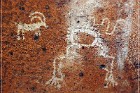 White River Narrows Petroglyphs - Shoshone Frog Site