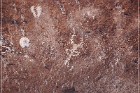 White River Narrows Petroglyphs - Shoshone Frog Site
