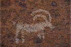 White River Narrows Petroglyphs - Shoshone Frog Site