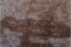 White River Narrows Petroglyphs - Shoshone Frog Site