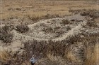 Baker Archaeological Site
