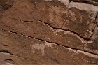 Falling Man Panel