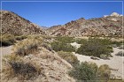 Grapevine Canyon Petroglyphs