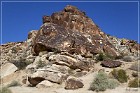 Grapevine Canyon Petroglyphs