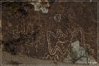 Grapevine Canyon Petroglyphs