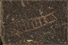 Grapevine Canyon Petroglyphs