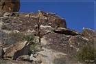 Grapevine Canyon Petroglyphs