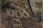 Grapevine Canyon Petroglyphs
