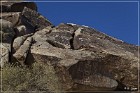 Grapevine Canyon Petroglyphs