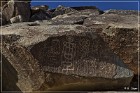 Grapevine Canyon Petroglyphs