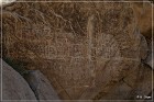 Grapevine Canyon Petroglyphs