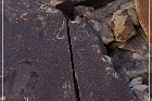 Grapevine Canyon Petroglyphs