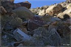Grapevine Canyon Petroglyphs
