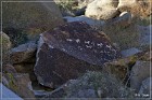 Grapevine Canyon Petroglyphs