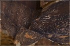 Grapevine Canyon Petroglyphs