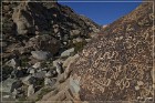Grapevine Canyon Petroglyphs