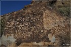 Grapevine Canyon Petroglyphs