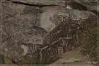 Grapevine Canyon Petroglyphs