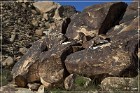 Grapevine Canyon Petroglyphs