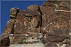 Grapevine Canyon Petroglyphs