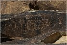 Grapevine Canyon Petroglyphs