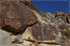 Grapevine Canyon Petroglyphs