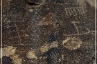 Grapevine Canyon Petroglyphs