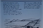 Grimes Point Petroglyphs