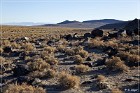 Grimes Point Petroglyphs