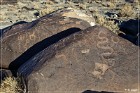 Grimes Point Petroglyphs