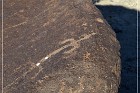Grimes Point Petroglyphs